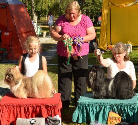 BödaSSTBirveteran